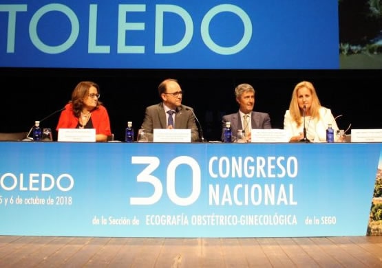 Presidente XXX Congreso Nacional SESEGO