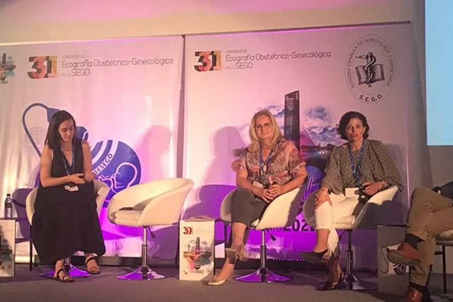 Palestrante XXXI Congresso Nacional SESEGO.